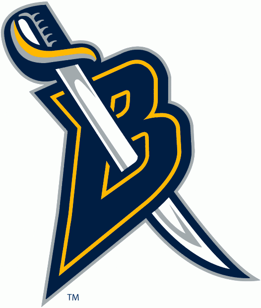 Buffalo Sabres 2006-2012 Alternate Logo v2 DIY iron on transfer (heat transfer)